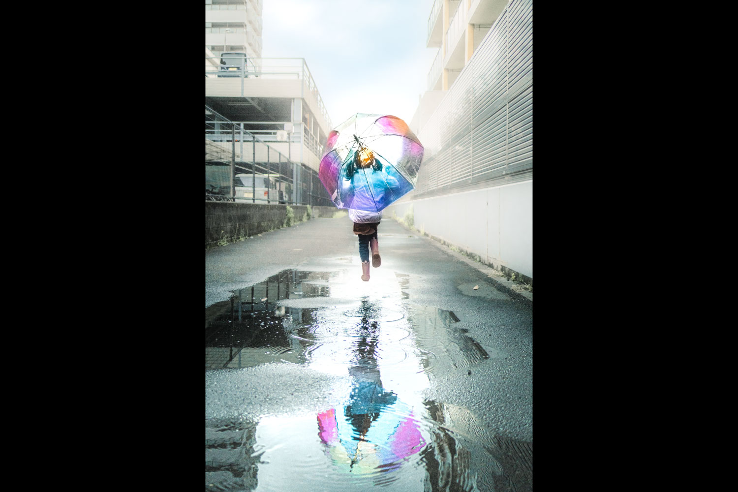 雨の風景