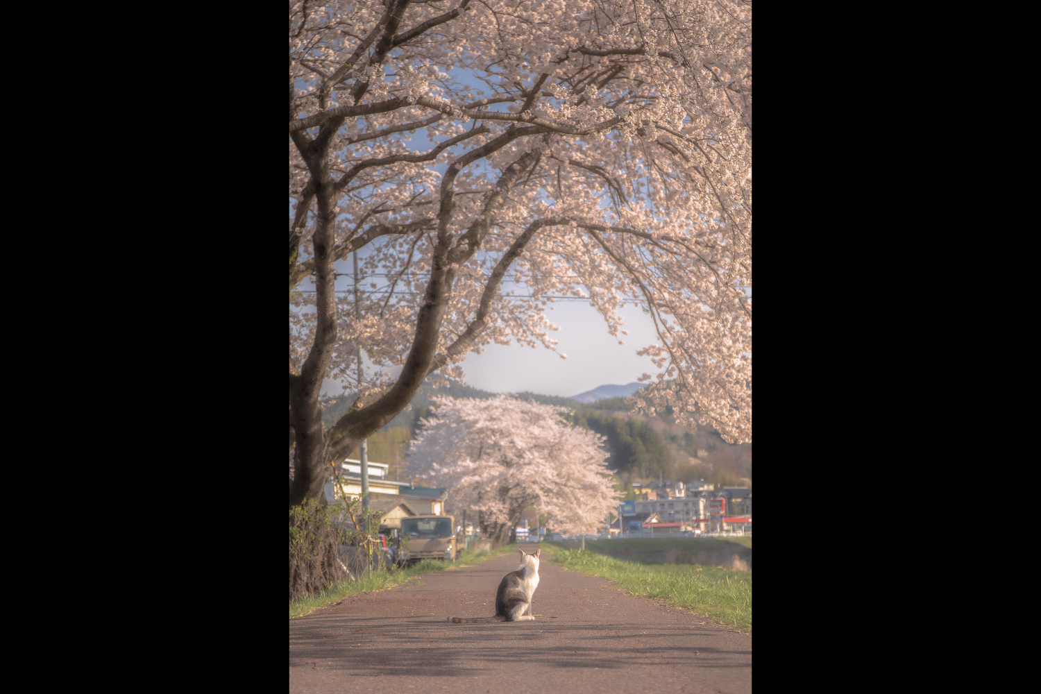 春を発見！賞