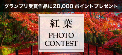 「紅葉 Photo Contest」