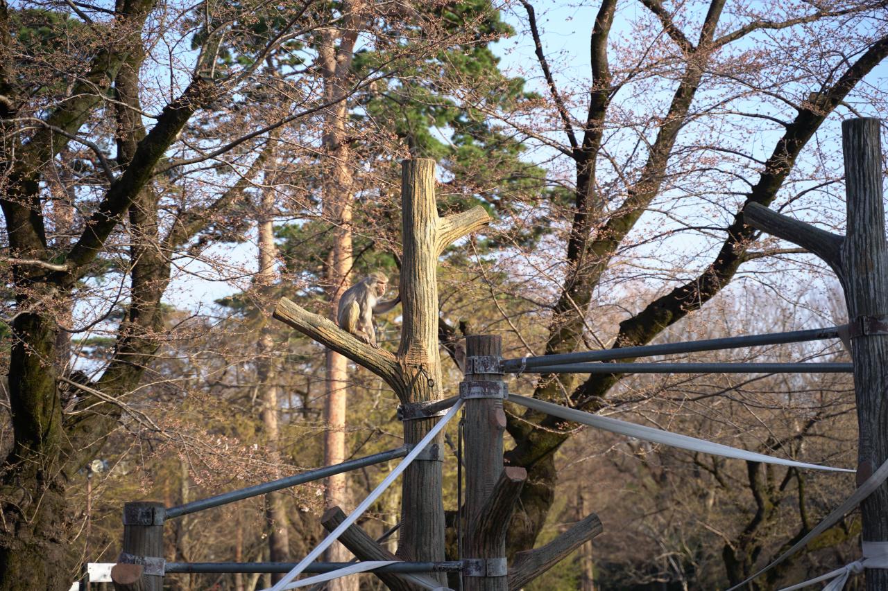 野外露出投稿画像  女装  女装子まとめ