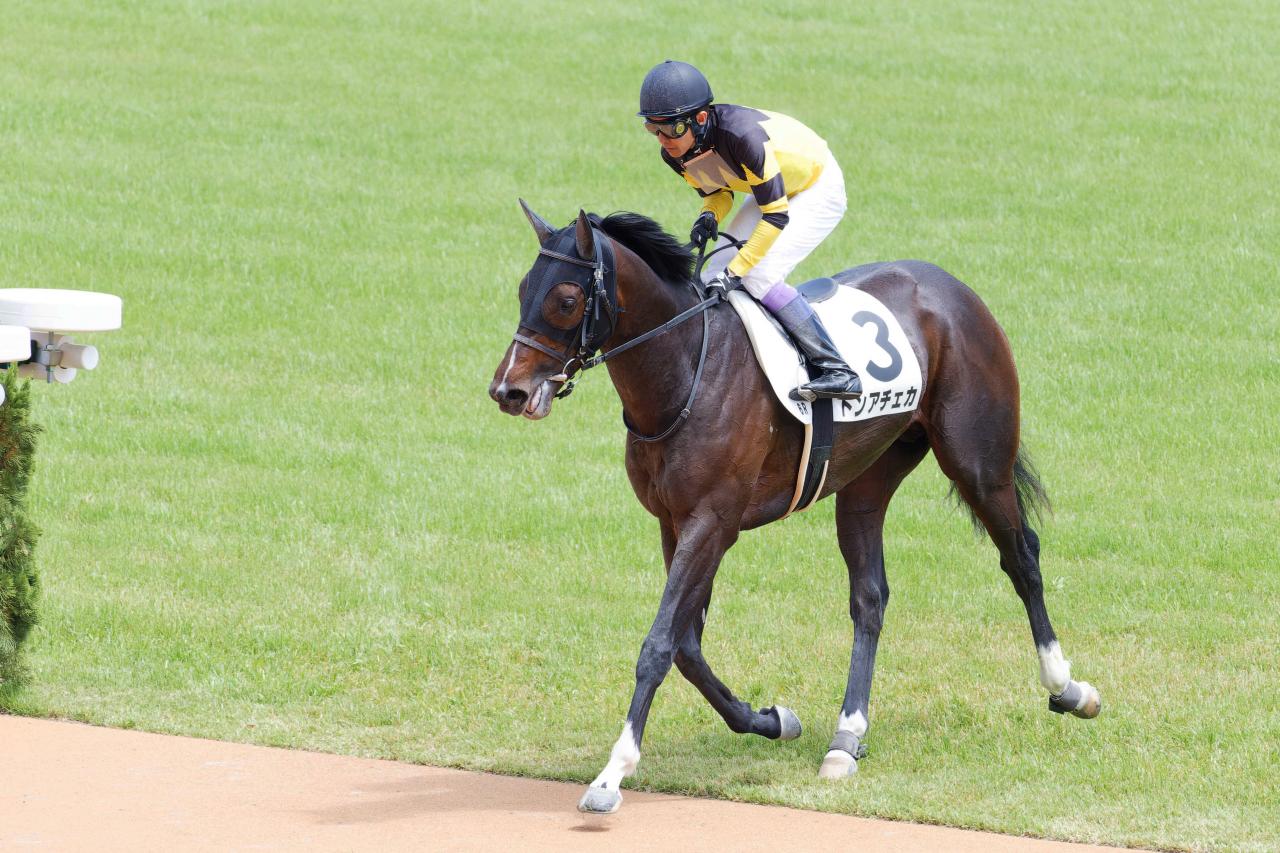 京都競馬場にて | EVERYBODY×PHOTOGRAPHER.com