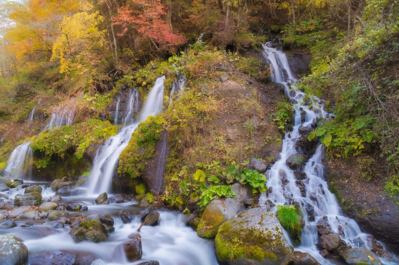 吐竜の滝（紅葉） | EVERYBODY×PHOTOGRAPHER.com