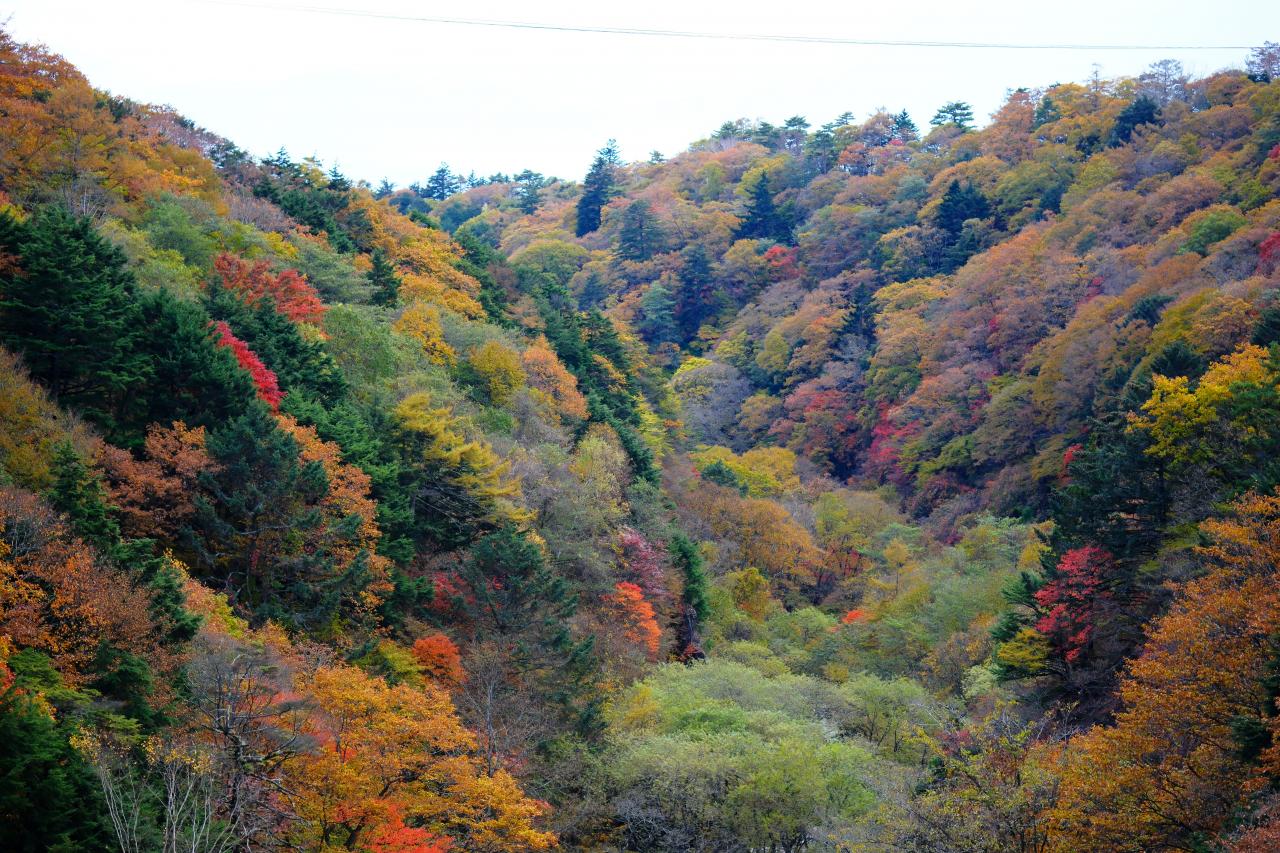 日本の原風景 安曇野水車小屋 | EVERYBODY×PHOTOGRAPHER.com