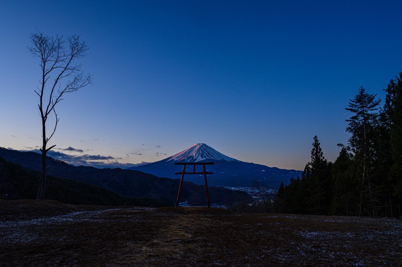 朝焼けの甘利山 Everybody Photographer Com